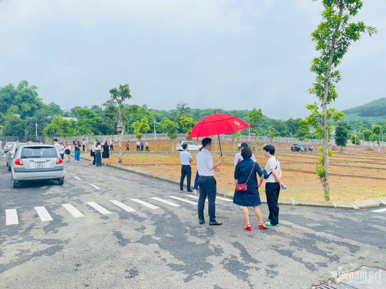 Cò đất sắp hết cửa bát nháo, thổi giá ăn chênh? Co dat sap het cua bat nhao, thoi gia an chenh?