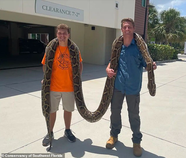 Nguoi dan ong vat lon voi con tran khung dai nhat tai My-Hinh-3