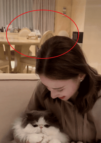 Phòng tân hôn của Đậu Kiêu và ái nữ "trùm sòng bạc Macau" - Hình 4 Phong tan hon cua Dau Kieu va ai nu