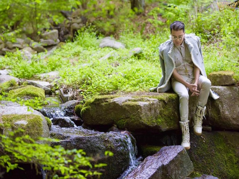 Đàm Vĩnh Hưng còn tích cực kinh doanh. Theo Vietnambiz, Đàm Vĩnh Hưng là cổ đông của chuỗi cháo dinh dưỡng Cây Thị năm 2009, kinh doanh hải sản cùng thương hiệu Vua Biển từ năm 2013, là cổ đông lớn trong Công ty TNHH Giải trí Tiếng Hát Việt từ năm 2019.