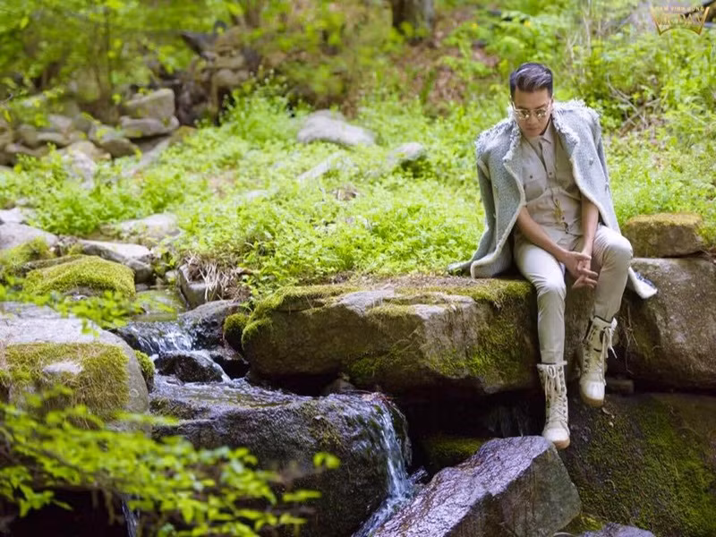 Đàm Vĩnh Hưng còn tích cực kinh doanh. Theo Vietnambiz, Đàm Vĩnh Hưng là cổ đông của chuỗi cháo dinh dưỡng Cây Thị năm 2009, kinh doanh hải sản cùng thương hiệu Vua Biển từ năm 2013, là cổ đông lớn trong Công ty TNHH Giải trí Tiếng Hát Việt từ năm 2019.