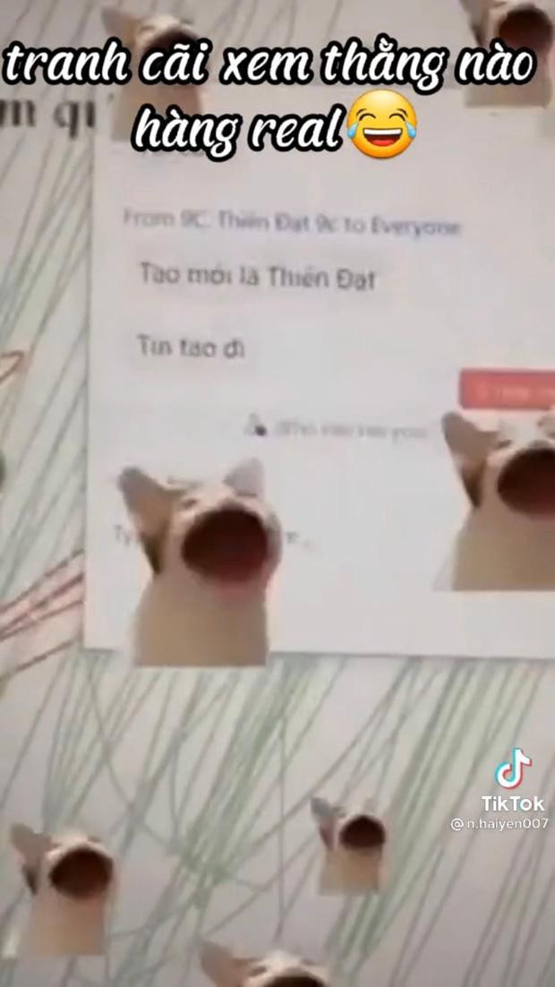 Thậm chí, lớp học còn thi nhau tranh cãi trong nhóm chat, ai cũng tự nhận mình mới là Thiên Đạt thật khiến cô giáo càng thêm phần hoang mang. Khi cô bắt đầu nhận ra có vấn đề, ngay sau đó cả lớp liền... đổ cho mạng của cô: "Mạng cô lag quá", "Hôm nay cô nói chuyện cứ bị giật giật".