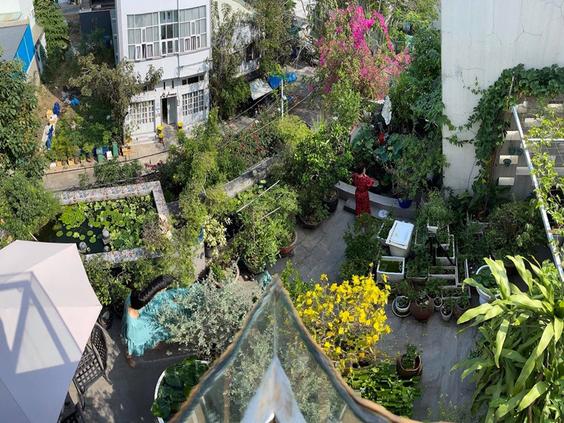 Mẹ đẻ của Hồ Ngọc Hà tận dụng không gian trống trên sân thượng, phía trước và sau biệt thự để trồng cây cối.