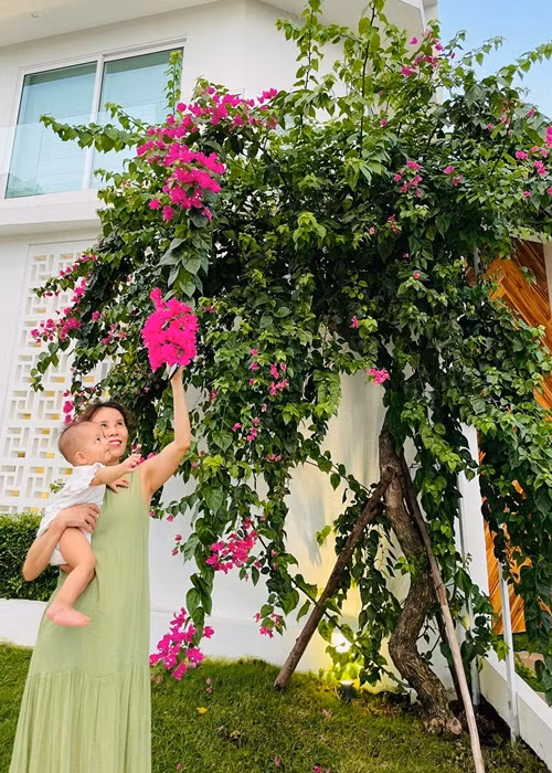 Bà Ngọc Hương sinh năm 1957 tại Huế. Sau khi kết hôn, sinh con, bà cùng chồng chuyển vào Quảng Bình lập nghiệp. Mẹ ruột Hà Hồ từng có khoảng thời gian làm việc trong lĩnh vực ngân hàng.