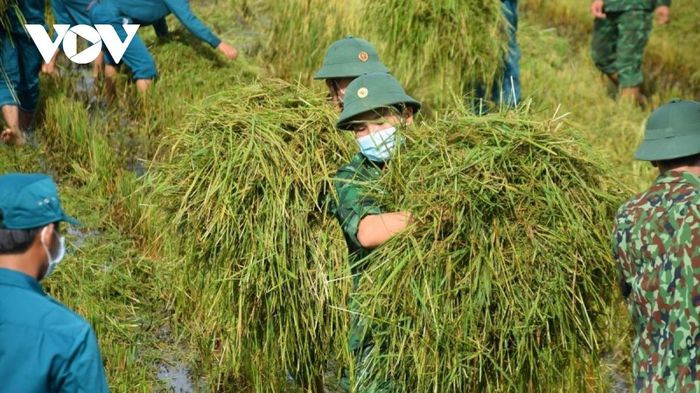 “Từ hôm phong tỏa đến nay cũng chưa đi ra đồng. Ở trong khu phong tỏa nên khó khăn việc cắt lúa, tưởng đâu trong khu phong tỏa mình cắt chưa được. Nhưng bữa nay ra thấy bộ đội về cắt lúa thì mừng lắm. Tôi cảm ơn các bộ đội”, bà Bé chia sẻ.