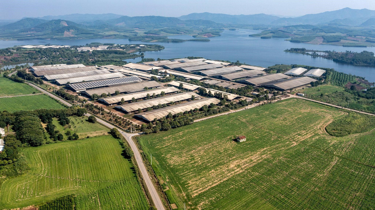 Ngan hang don dau co hoi cap tin dung cho cac du an xanh