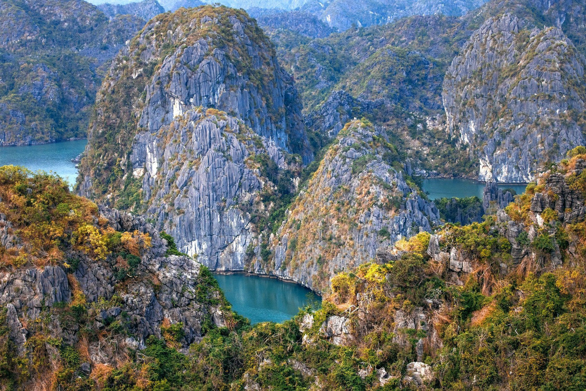 Nha vua va Hoang hau Bi ngam canh dep Cat Ba tu tren khong-Hinh-3