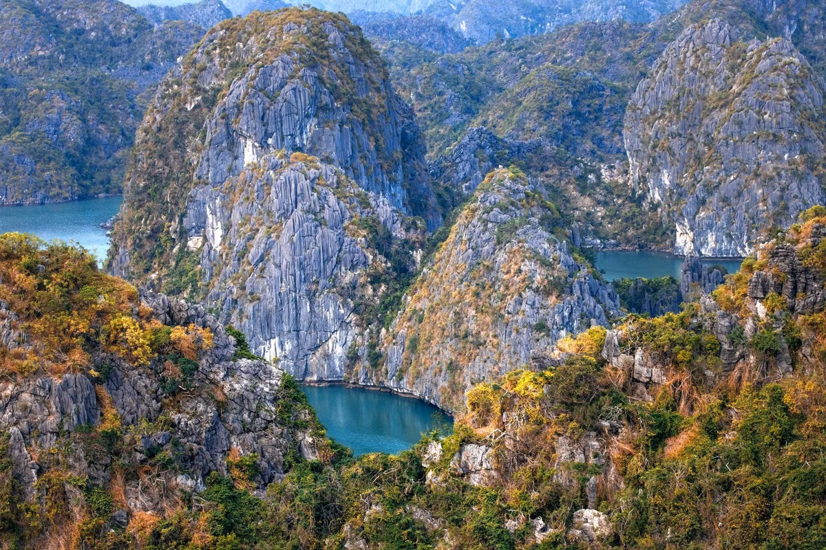 Nha vua va Hoang hau Bi ngam canh dep Cat Ba tu tren khong-Hinh-3