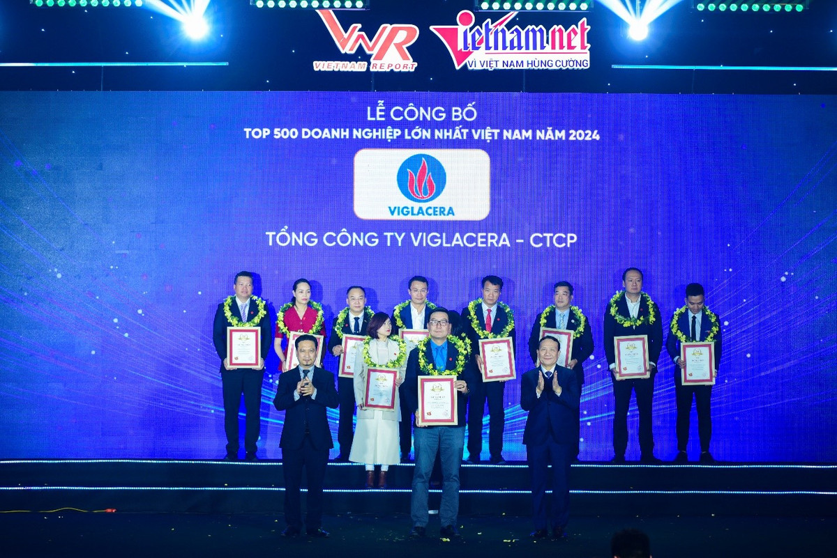 Hệ thống GELEX có 3 doanh nghiệp thuộc top VNR 500 - Hình 2 He thong GELEX co 3 doanh nghiep thuoc top VNR 500-Hinh-2