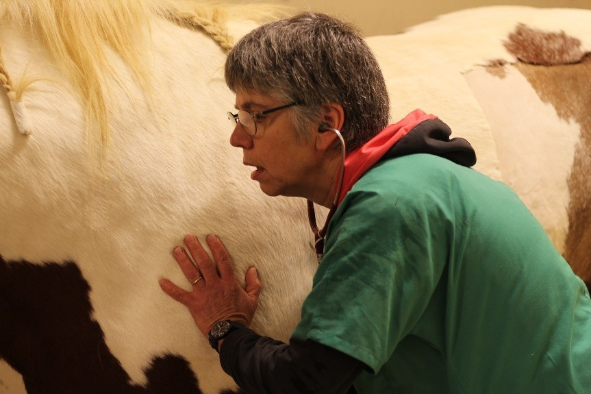 Hoc vien Cuoi Ngua Vinpearl Vu Yen to chuc Hoi thao chuyen sau-Hinh-4