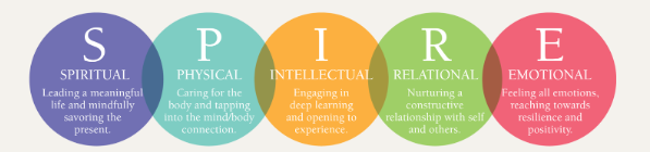 Giáo dục lấy hạnh phúc làm trọng: Xu hướng tạo nên sự thay đổi - Hình 3 Giao duc lay hanh phuc lam trong: Xu huong tao nen su thay doi-Hinh-3