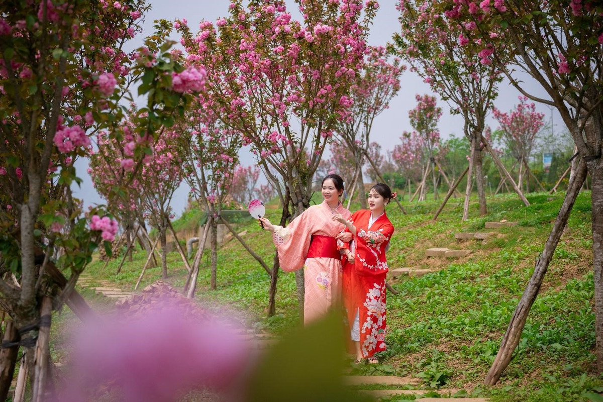 Khong khi du lich 3 mien nhon nhip dip Gio To Vung Vuong-Hinh-3