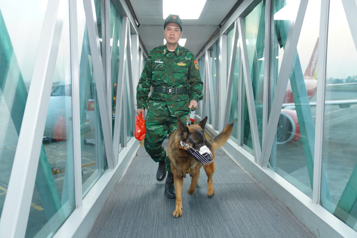 Cong an, Quan doi Viet Nam cu luc luong cuu nan, cuu ho den Myanmar-Hinh-5