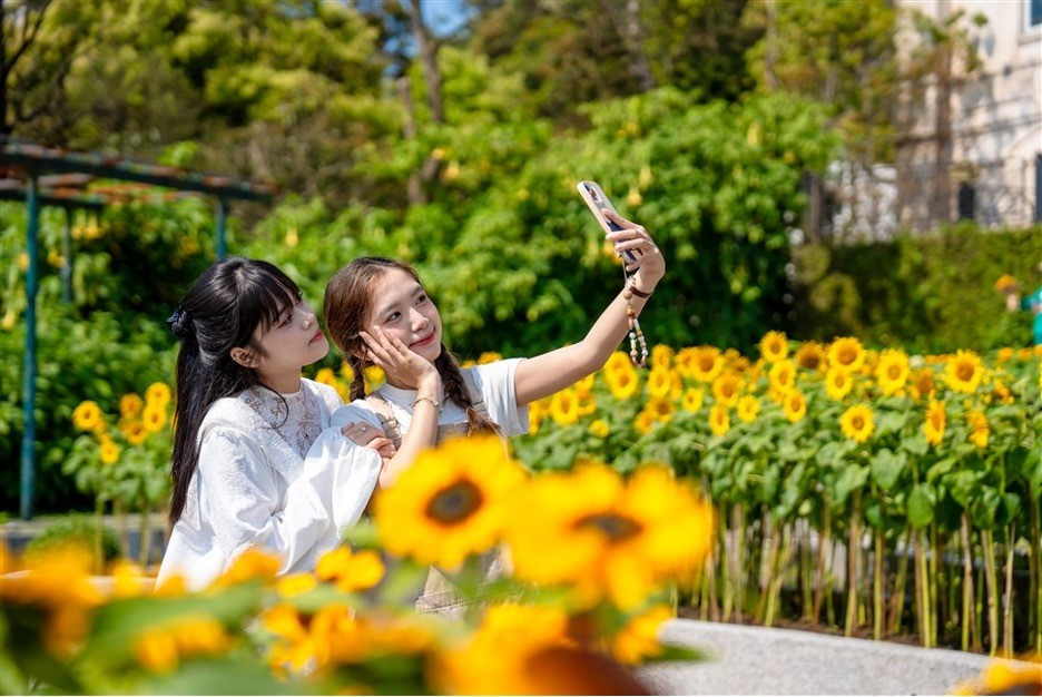 Sun World Ba Na Hills ruc ro sac vang Le hoi Hoa Mat troi-Hinh-3