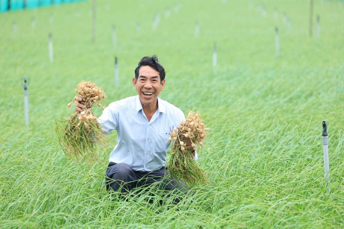 Nam Ngu cung ba con dao Ly Son don Tet noi dai niem vui-Hinh-2