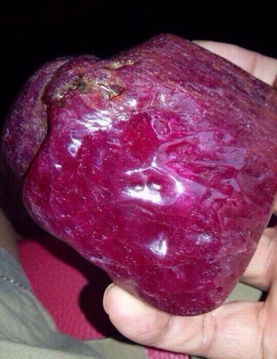 Từ một tin đồn có một người ở huyện Lục Yên (Yên Bái) tìm được viên đá trên rừng to bằng ngón tay và bán với giá 5 tỷ đồng, rất người dân đã đổ xô lên rừng thuộc xã Liễu Đô để tìm đá mong đổi đời.