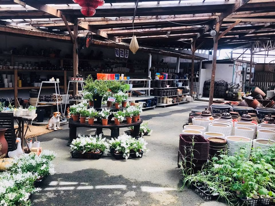 Ông Ngô Hùng Lâm nói rằng, để hoa nhanh lớn, nở bông đẹp, ngoài đất tốt, sạch ra, ông thường xuyên trò chuyện với hoa mỗi khi tưới nước.