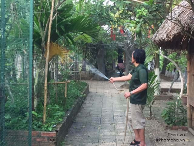  Nhà vườn 10.000m2 của nghệ sĩ Giang “còi” Khu nhà vườn xanh mát rộng 10.000m2 của nghệ sĩ Giang “còi” nằm ở vùng ngoại ô Mê Linh, cách thành phố hơn 20km khiến nhiều người phải choáng ngợp và ước ao. Ảnh: Khám phá.