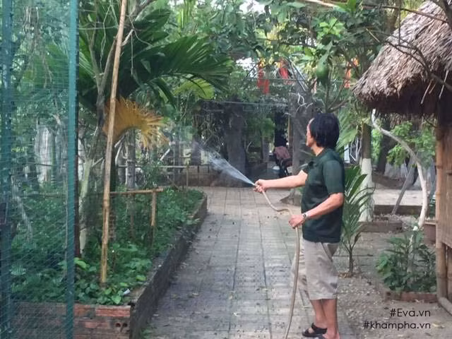  Nhà vườn 10.000m2 của nghệ sĩ Giang “còi” Khu nhà vườn xanh mát rộng 10.000m2 của nghệ sĩ Giang “còi” nằm ở vùng ngoại ô Mê Linh, cách thành phố hơn 20km khiến nhiều người phải choáng ngợp và ước ao. Ảnh: Khám phá.