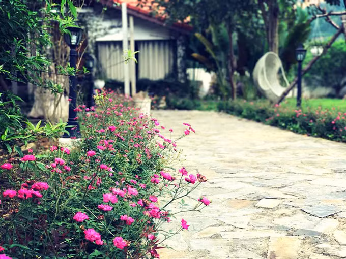 Nữ MC xinh đẹp cho biết khu đất có tổng diện tích 3.000 m2, trong đó nhà rộng 100 m2, còn lại là sân vườn. Ảnh: NVCC/ngoisao.net.