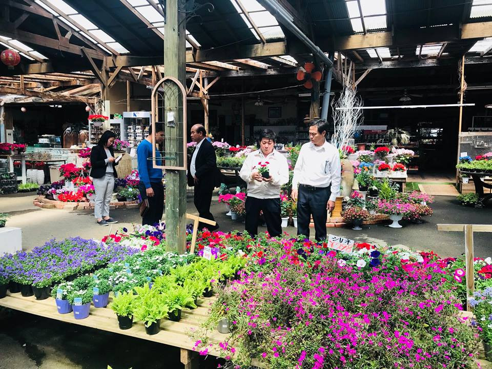 Doanh nhân Ngô Hùng Lâm bén duyên với hoa khi ông còn đang kinh doanh các loại đồ gốm sứ được làm từ làng gốm Việt Bát Tràng rất được khách hàng Nhật ưa chuộng.