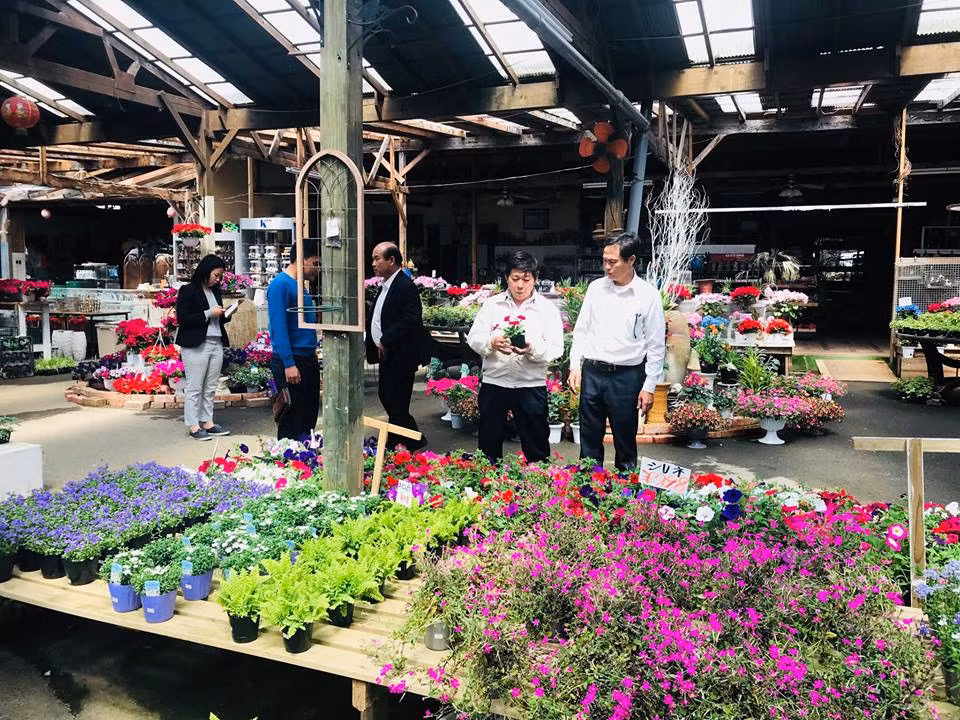 Doanh nhân Ngô Hùng Lâm bén duyên với hoa khi ông còn đang kinh doanh các loại đồ gốm sứ được làm từ làng gốm Việt Bát Tràng rất được khách hàng Nhật ưa chuộng.