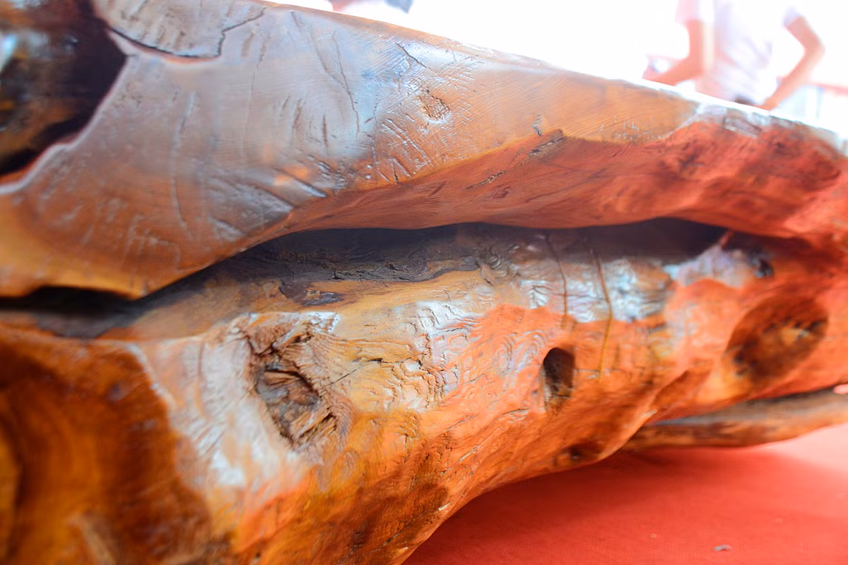 “Chieu phan phu gia” hiem co kho tim cua dai gia viet-Hinh-9