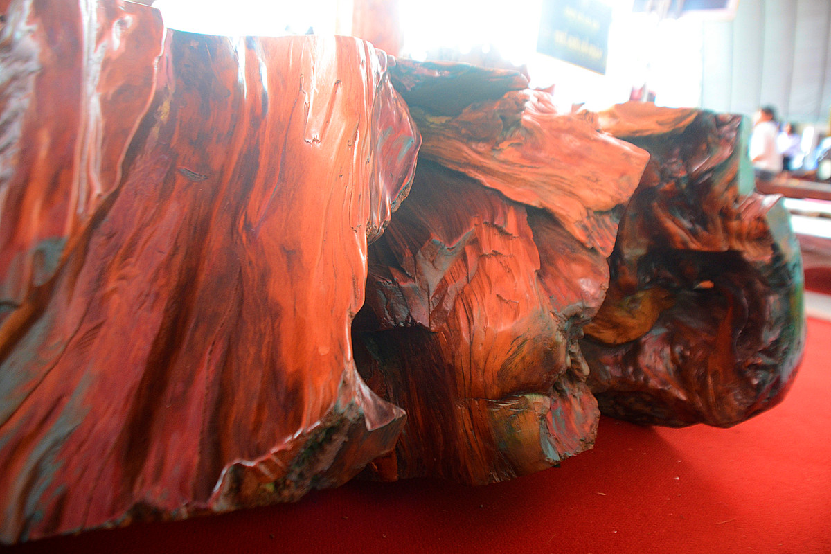 Cạnh phản trông khá xù xì nhưng vẫn bắt mắt nhờ màu sắc sáng bóng.