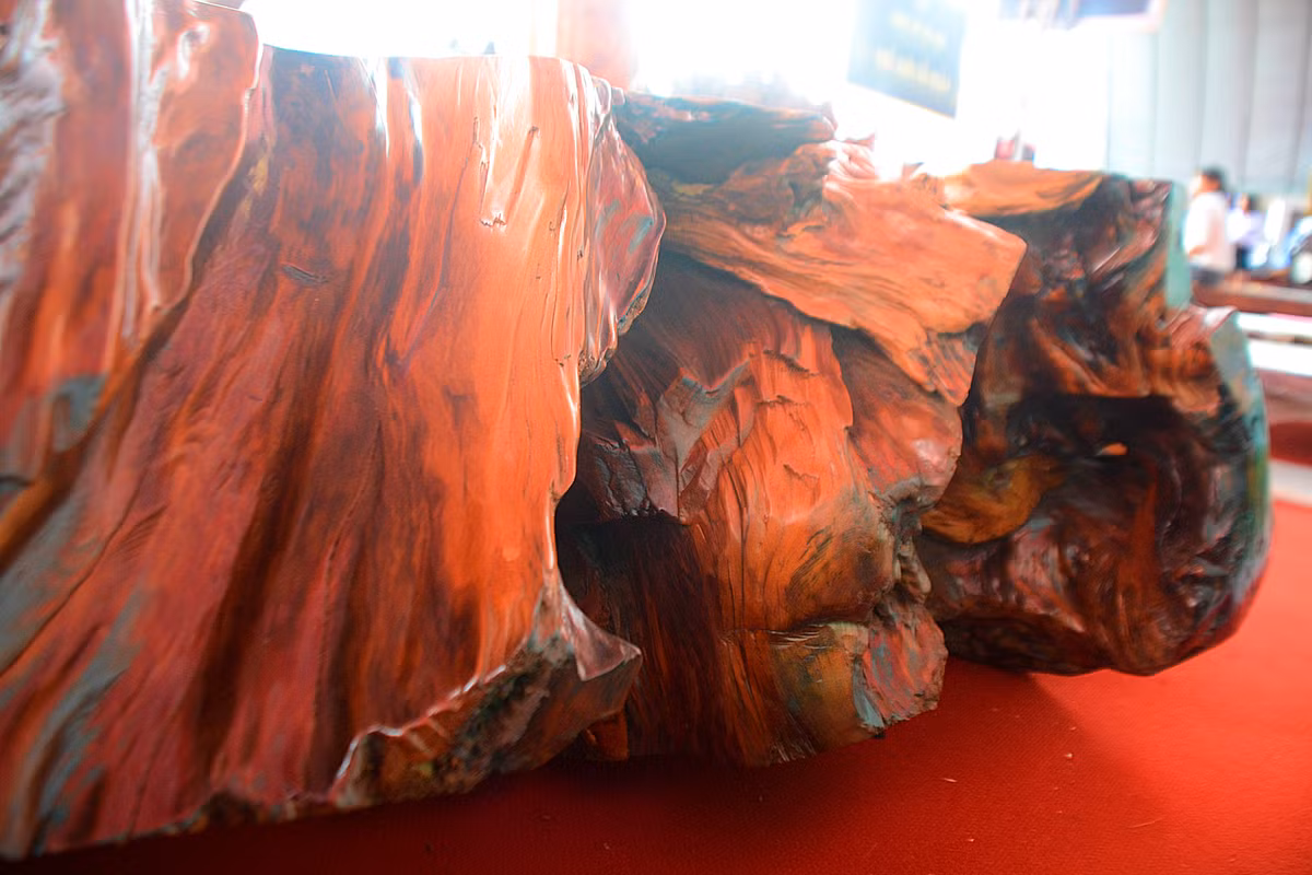 “Chieu phan phu gia” hiem co kho tim cua dai gia viet-Hinh-10