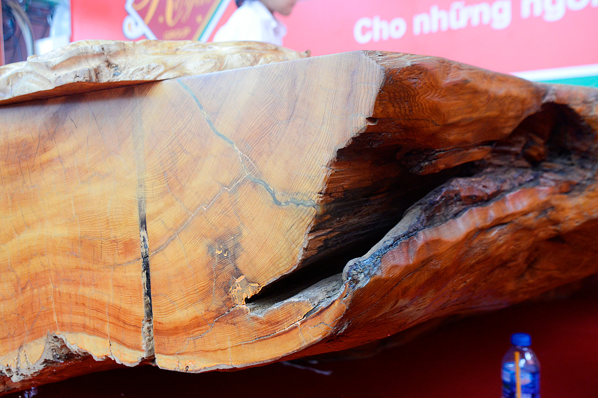 Theo chủ nhân, chiếc chiếu phản có kích thước chiều dài 3,2m, rộng 3m và bề dày 60cm.