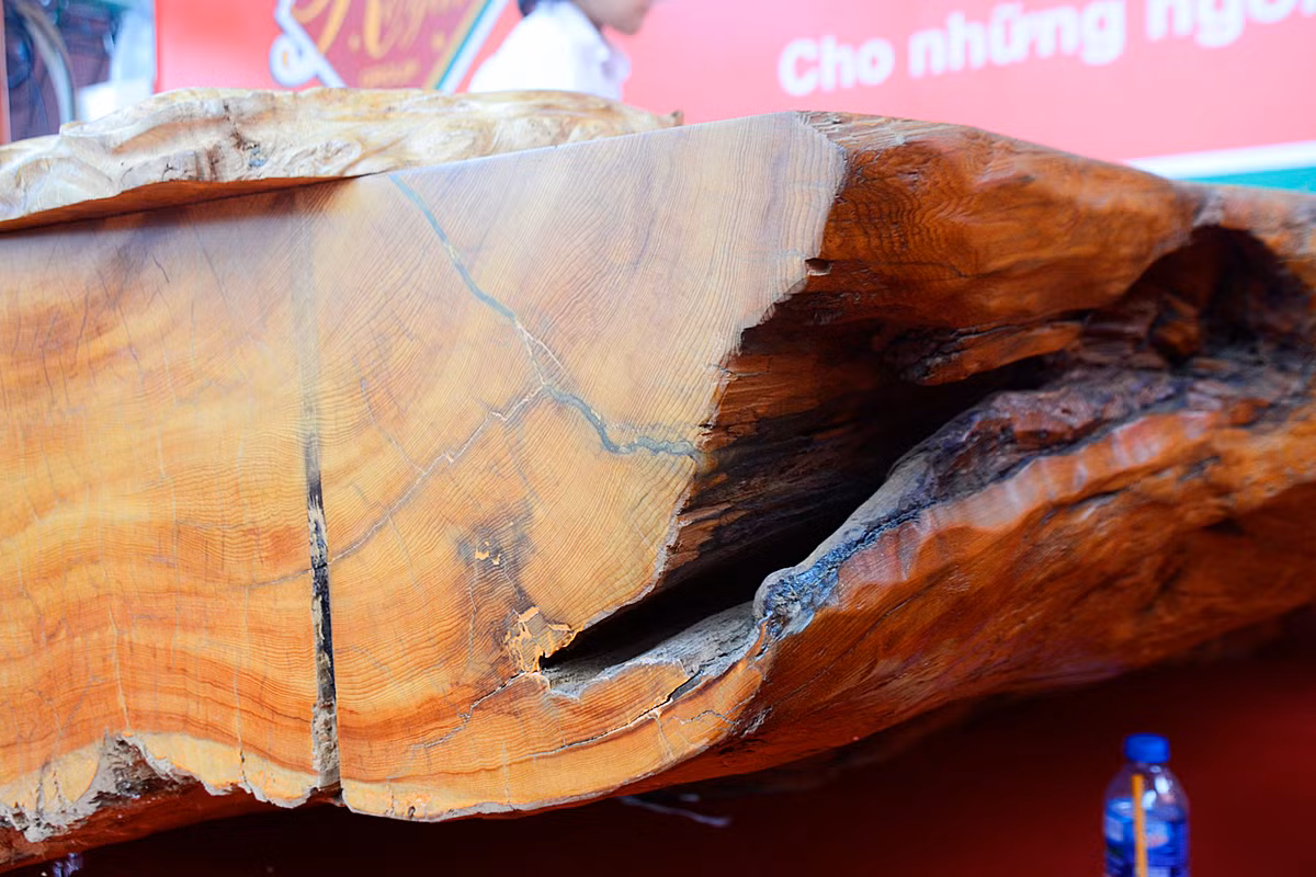 “Chieu phan phu gia” hiem co kho tim cua dai gia viet-Hinh-5