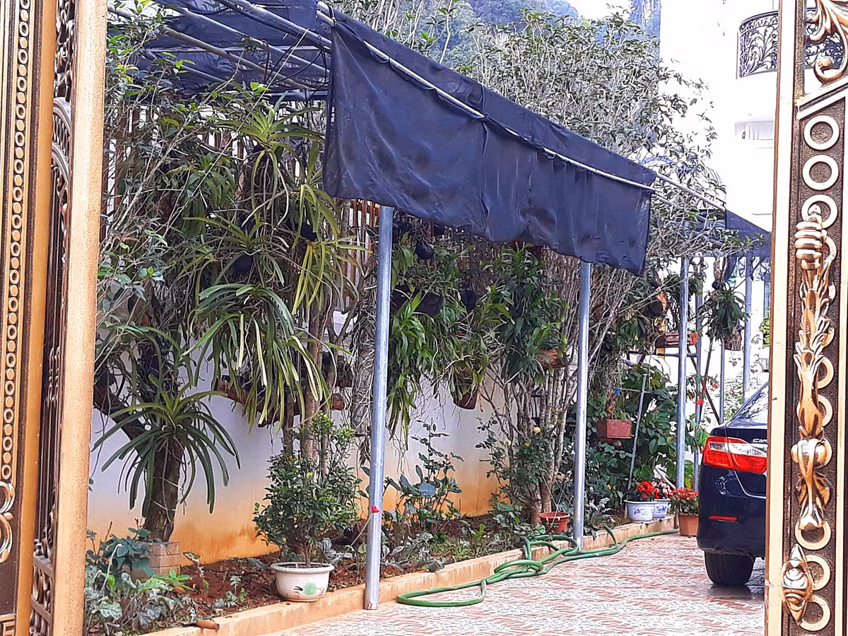 Khoảng sân rộng được vị đại gia này tận dụng để trồng các loại hoa...