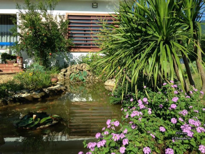 Hồ nước nhân tạo thơ mộng ở một góc vườn do hai vợ chồng chị Hằng tự thiết kế. Ảnh: Khám phá.