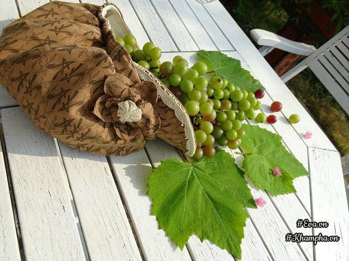 Trên hồ và hai bên bờ, chị Hằng trồng hoa, trồng cây ăn quả, dưới hồ thả cá... Ảnh: Khám phá.