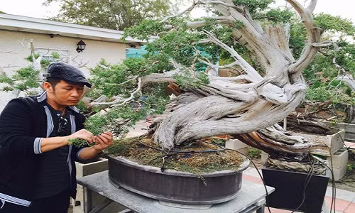 Thanh vien Qua Dua Hau: Nguoi biet thu trieu do, ke thue tro