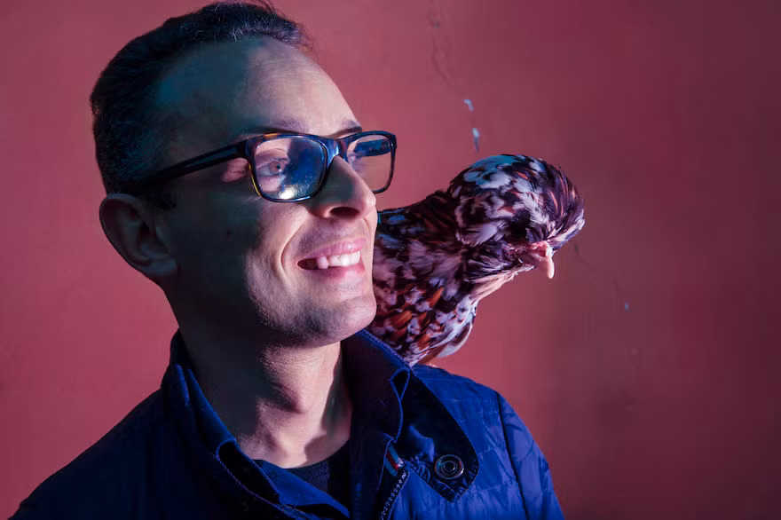 Dan Bannino và cô người mẫu gà xinh đẹp của mình. (Nguồn Bored Panda)