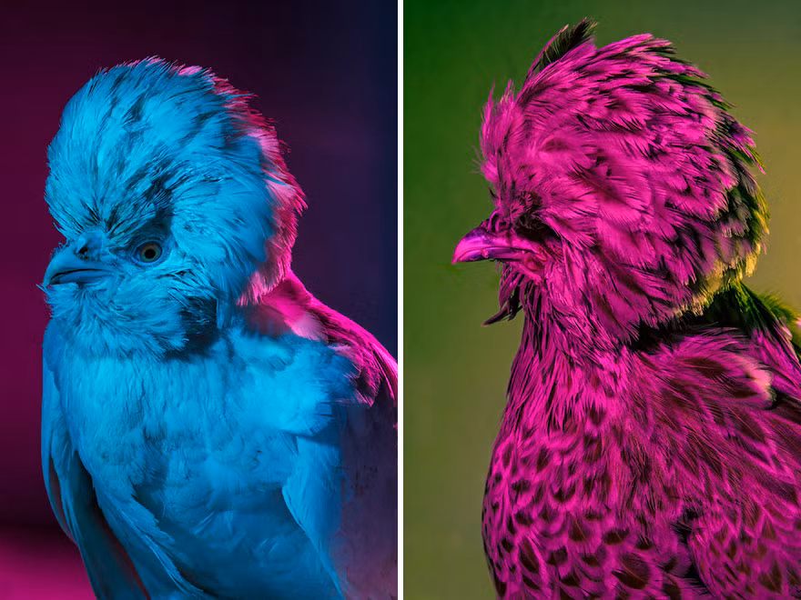 Chúng mang một vẻ đẹp lạnh lùng nhưng cũng đầy bí ẩn, cuốn hút. (Nguồn Bored Panda)