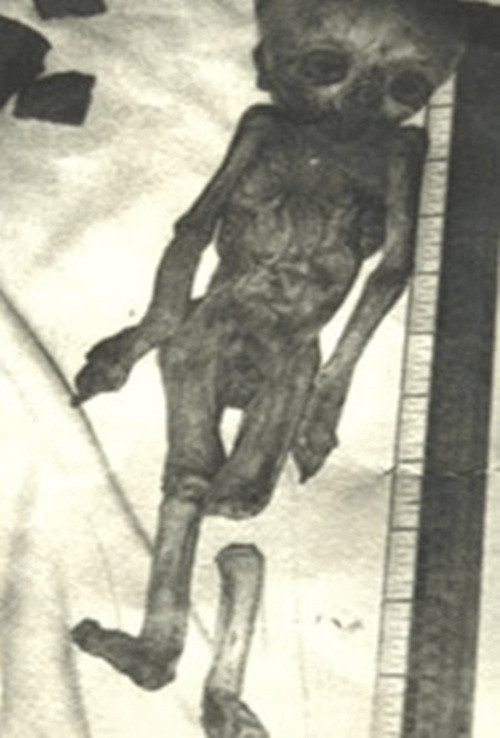 Tại cùng một địa điểm, các nhà khảo cổ cũng tìm thấy hài cốt của một chủng tộc kỳ lạ, cơ thể của những người này có kích thước nhỏ bất thường và chiếc đầu lớn. Họ giống như một chủng tộc ngoài hành tinh và nguồn gốc của họ vẫn còn là một bí ẩn cho đến ngày nay. (Nguồn Boredomtherapy)