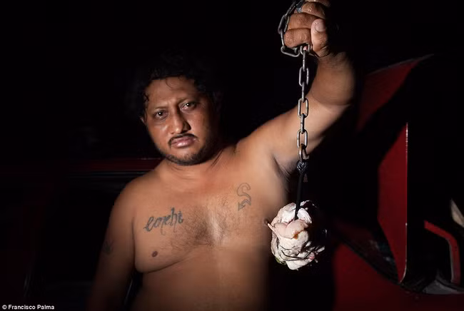 Thông thường, người ta sẽ săn bắt những con cá sấu con, đó là những con cá sấu non kinh nghiệm, dễ bị dụ bởi những miếng mồi ngon, sức chống trả, phản kháng yếu ớt, dễ bị khống chế, ít gây nguy hiểm cho người đi săn.