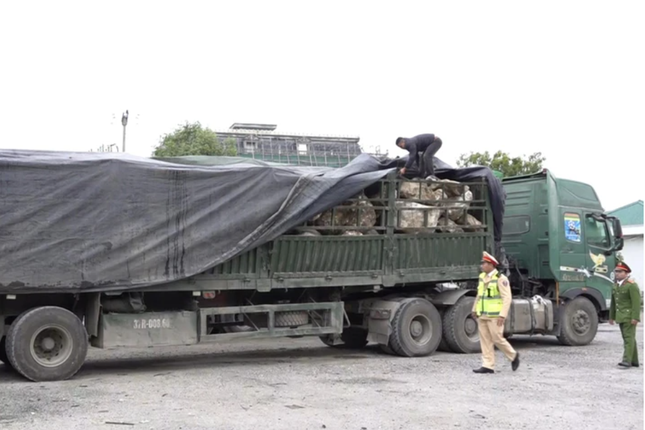 Nghệ An: Bắt giữ hơn 480 tấn đá thạch anh khai thác trái phép Nghe An: Bat giu hon 480 tan da thach anh khai thac trai phep