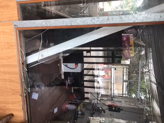 Hang chuc con do mang hung khi tan cong mot gia dinh o Ha Noi-Hinh-2