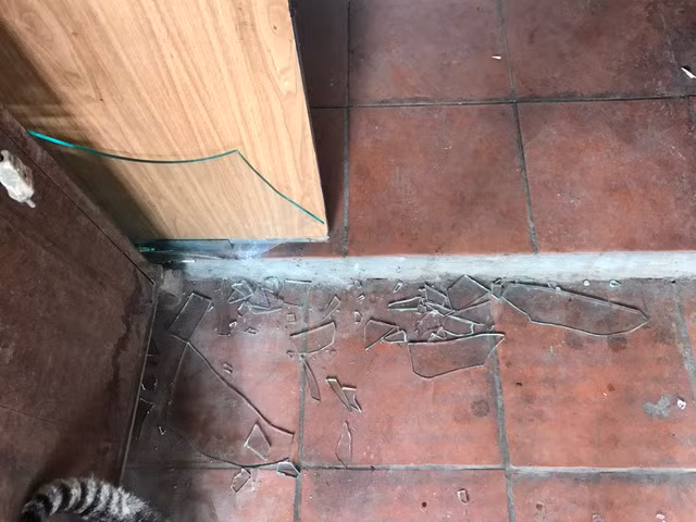 Hang chuc con do mang hung khi tan cong mot gia dinh o Ha Noi-Hinh-3