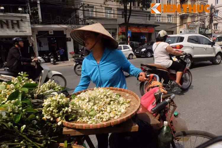 Nếu muốn mua được hoa bưởi Diễn thì chú ý loại này bông nhỏ và mỏng, trong khi hoa bưởi chua thì cánh to và dày hơn. Tuy nhiên, rất ít hàng hoa có bán loại hoa này.