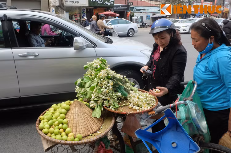 Hoa bưởi thường được dùng để ướp trà, ướp bột sắn hay đơn giản chỉ để cắm một lọ nhỏ cho thơm một góc làm việc.