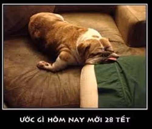 Chuyện như chưa bắt đầu.