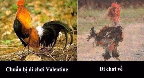 Chuẩn bị đi chơi Valentine thì bảnh bao, đi chơi về tan hoang, xơ xác.