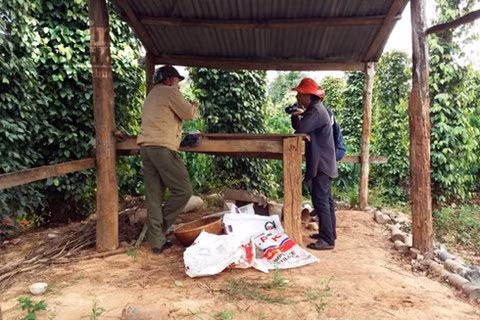Dak Lak: Hai vo chong nghi bi dau doc bang thuoc diet co