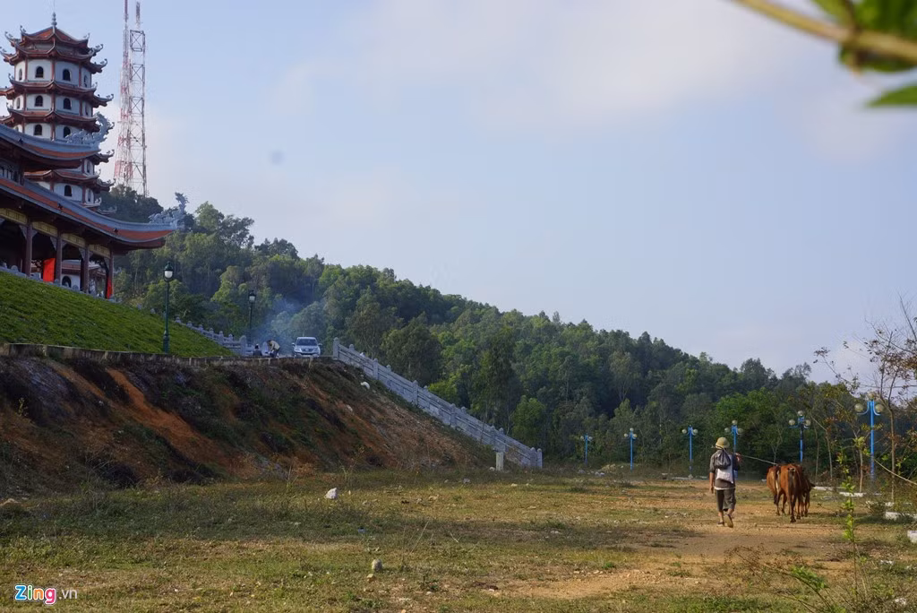 Khu vực quanh khuôn viên đền thờ các Bà mẹ Việt Nam anh hùng trở thành nơi chăn bò.