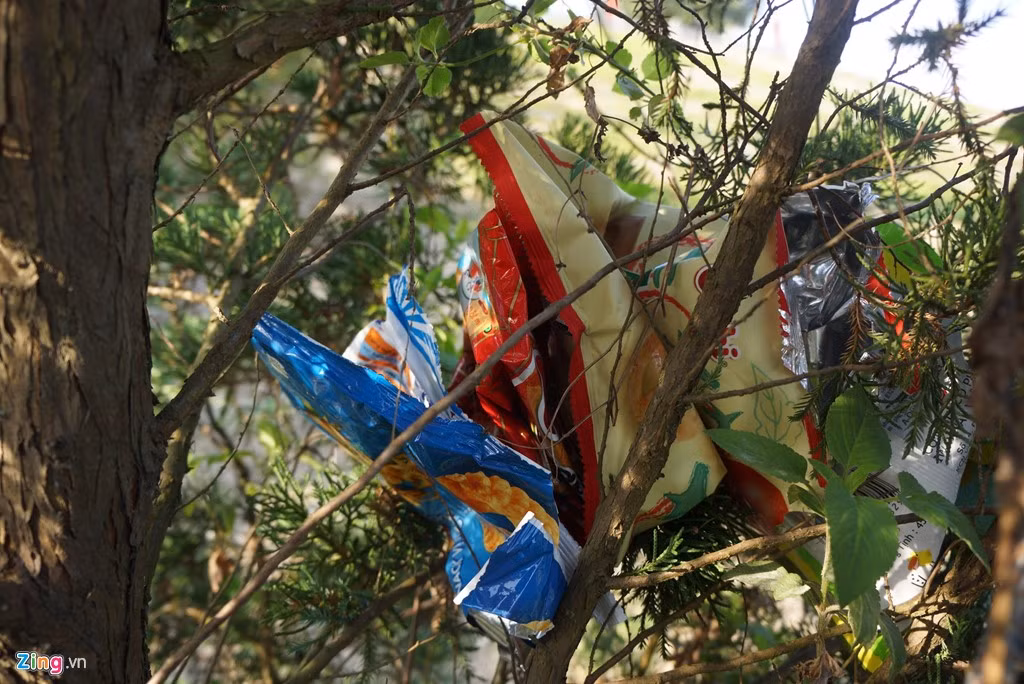 Các gốc cây cảnh dọc lối cầu thang lên xuống đền thờ cũng trở thành nơi du khách nhét rác sau khi ăn uống. Theo ghi nhận vào chiều 8/2, trong khuôn viên đền thờ rộng hơn 2.400 m2 này không hề đặt một thùng rác nào. Ban quản lý cũng không phân người thu dọn và xử lý kịp thời dù kỳ nghỉ Tết đã qua.