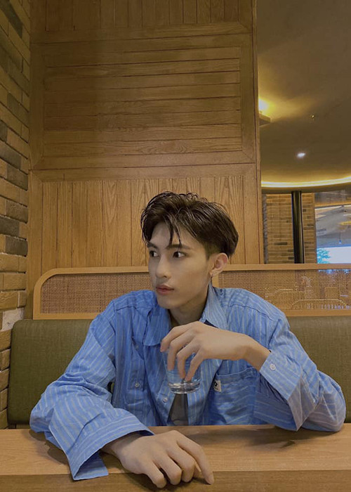 Giữa ồn ào chê phở Việt Nam, Silves liên tục phân trần. Anh nói: "Mọi người đã hiểu sai những gì tôi viết. Tôi đang nói về món ăn được mang đi từ nhà hàng đó, không phải món ăn Việt Nam. Tôi rất yêu Việt Nam. Về món phở chanh, quả thật đây là lần đầu tiên tôi ăn món phở có mùi rất đặc biệt. Có thể do nước mắm hoặc các nguyên nhân khác. Tôi đã không tìm hiểu sâu. Tôi xin lỗi khán giả Việt Nam vì sơ suất này".